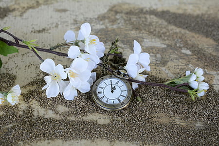 round silver-colored pocket watch and white flowers on sand thumbnail