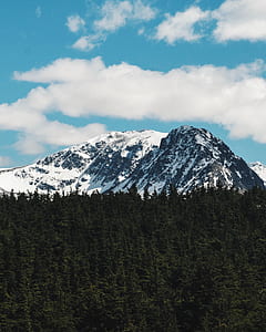 landscape photography of white mountain ranges and green trees thumbnail