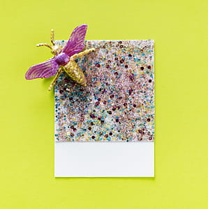 Multicolored Glittered With Fly Accent thumbnail