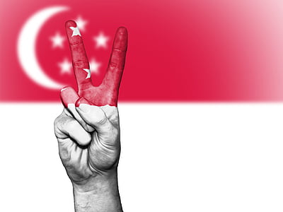 peace hand gesture in front of Turkey's flag thumbnail