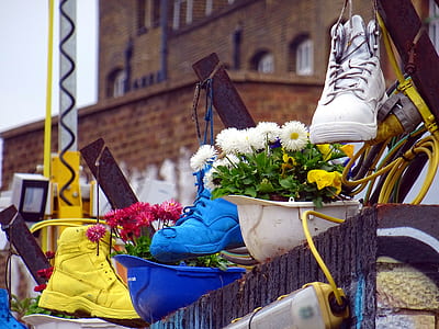 city, street, flowers, shoes thumbnail