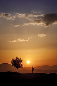 silhouette of person near tree thumbnail