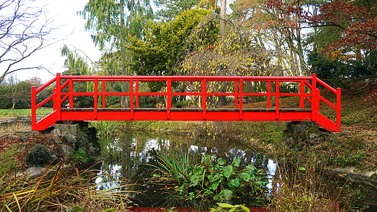 road, water, bridge, garden thumbnail