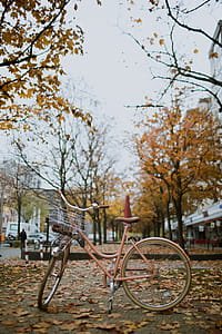 When my bike matches the tone of the season thumbnail