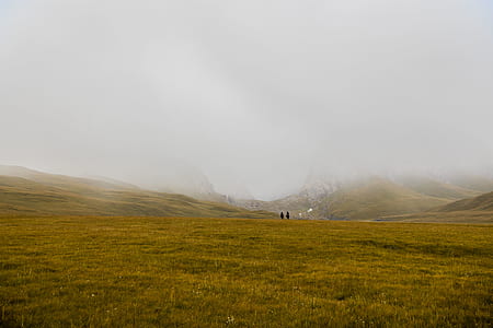 green grass field thumbnail