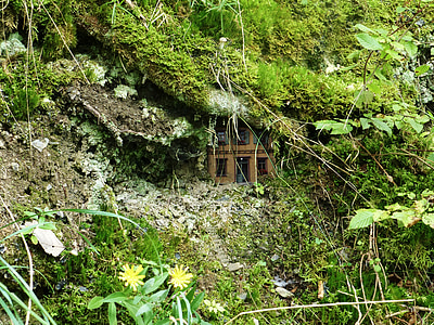 house covered with moss thumbnail