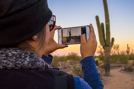 person capturing cactus plant thumbnail