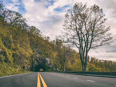 black concrete road and green trees during daytime thumbnail