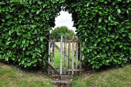wooden gate leading on meadow thumbnail