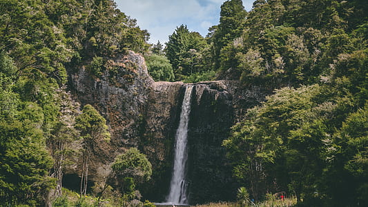 waterfalls surrounded by trees thumbnail