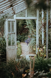 tilt-shift lens photography of open white wooden greenhouse door thumbnail