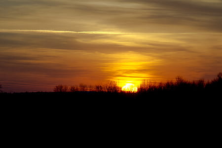 silhouette of grass during sunset thumbnail