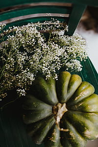 Top view of green pumpkin thumbnail