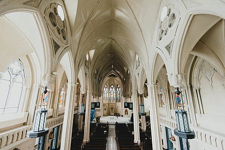 brown pew benches in cathedral thumbnail