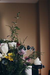 white petaled flowers thumbnail