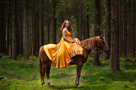 woman riding on brown horse in the middle of the forest thumbnail