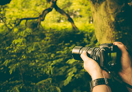 person holding black DSLR camera thumbnail