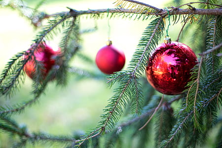 three red Christmas baubles thumbnail
