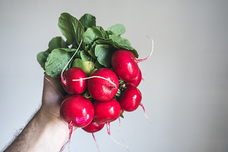Holding fresh radishes in hand thumbnail