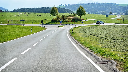 road surrounded by grass thumbnail