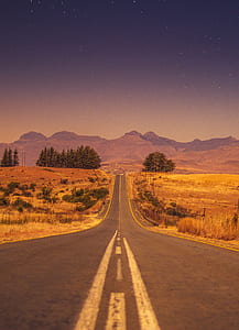 highway near trees photo thumbnail