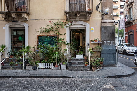 assorted plants beside house at daytime thumbnail