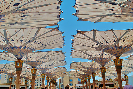 photography of white and brown posts at daytime thumbnail