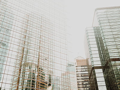 photo of glass-curtain high-rise building thumbnail