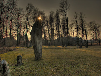 stones near trees at sunset thumbnail