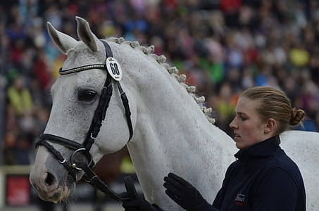 woman near horse thumbnail