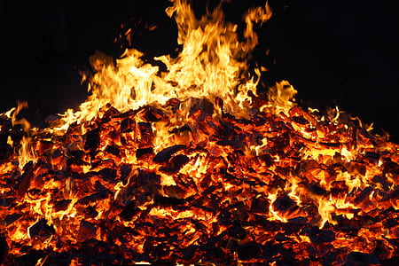 firewood thumbnail