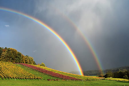 rainbow under flower field thumbnail
