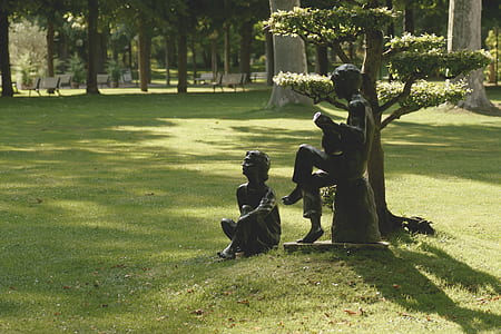 nature, trees, grass, park thumbnail