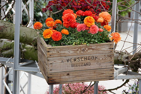 orange and yellow ranunculus flowers arrangement thumbnail