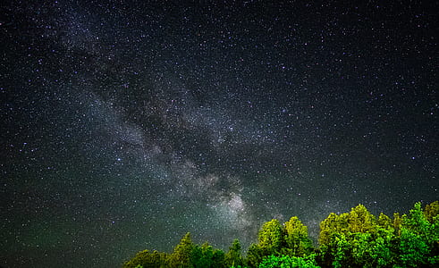 green trees under Milky Way during nighttime thumbnail