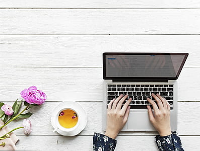 person typing on silver laptop computer thumbnail