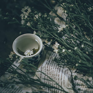 White Ceramic Mug Beside White Petal Flower thumbnail