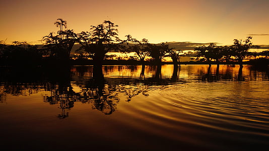 silhouette of trees with reflection on water during golden hour photo thumbnail