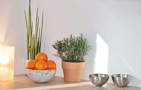 rosemary and oranges thumbnail