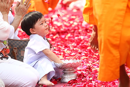 boy wearing white shirt on red petals at daytime thumbnail