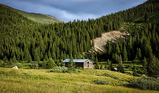 brown wooden house near trees under blue sky thumbnail