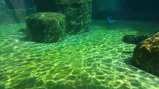 brown concrete column underwater thumbnail
