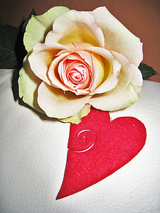 white rose thumbnail