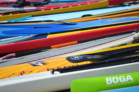 paddleboard, surfboard, skimboard, outdoor thumbnail