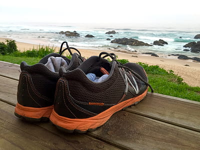 wood, sea, beach, vacation thumbnail