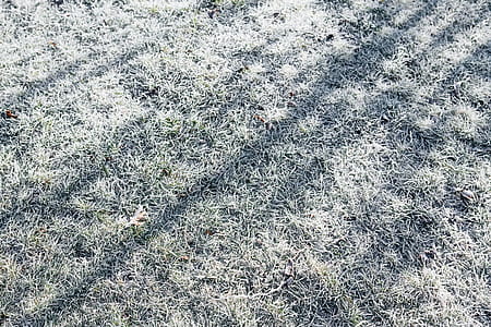 Frost covered grass in the morning thumbnail