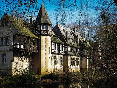 white concrete mansion surrounded by withered trees thumbnail