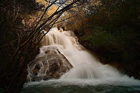 raging waterfalls surrounded by trees thumbnail