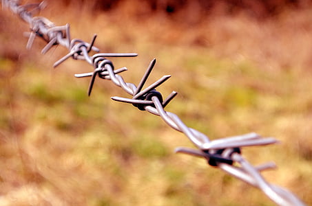 selective focus photo of gray barbwire thumbnail