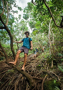 Man in Blue T-shirt Standing on Tree Trunk thumbnail
